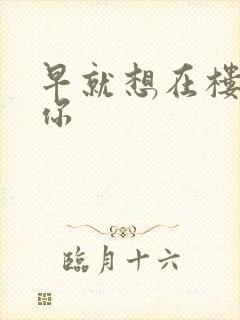 早就想在楼梯要你