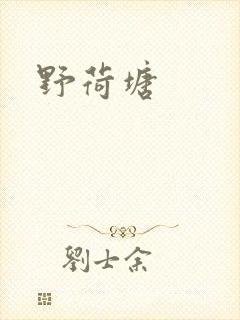 野荷塘封面