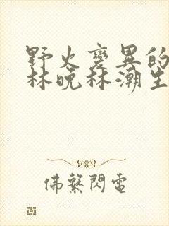 野火变异的父爱林晚林潮生封面