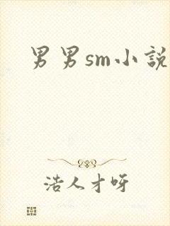 男男sm小说