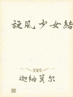 旋风少女结局封面