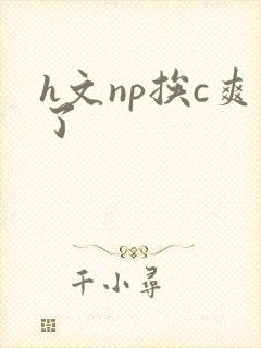 h文np挨c爽了