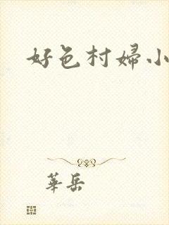 好色村妇小银贼封面