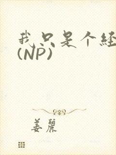 我只是个经纪人(NP)