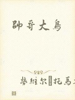 帅哥大鸟