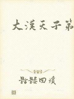 大汉天子第一部封面