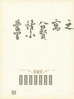 爱情公寓之极品曾小贤封面