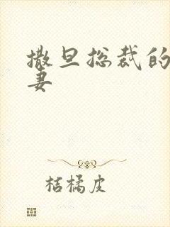 撒旦总裁的下堂妻