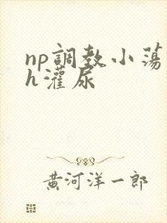 np调教小荡货h灌尿