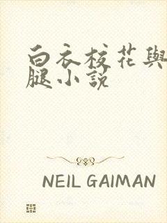 白衣校花与大长腿小说