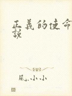 正义的使命 小说