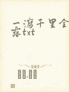 一泻千里金银花露txt