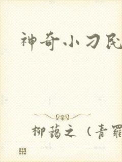 神奇小刁民封面