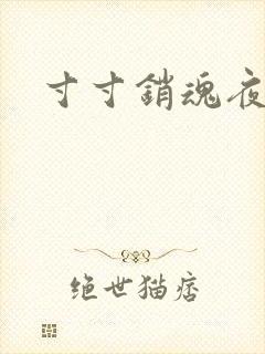 寸寸销魂夜春光