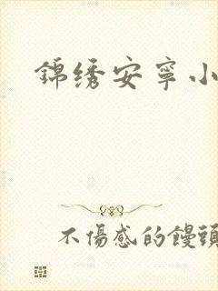 锦绣安宁小说封面