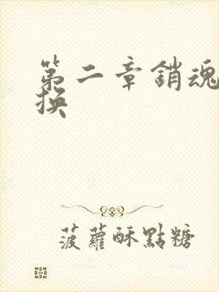 第二章销魂的交换