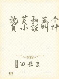 沈芙和五个消防员小说叫什么