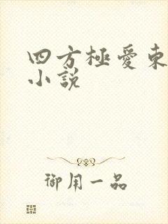 四方极爱东方篇小说