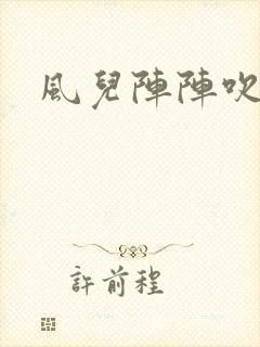 风儿阵阵吹封面