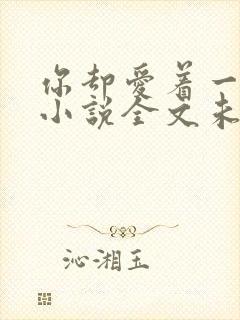 你却爱着一个他小说全文未删减免费