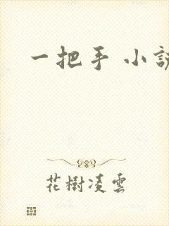 一把手 小说