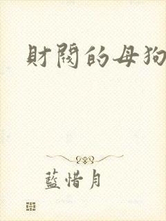财阀的母狗们