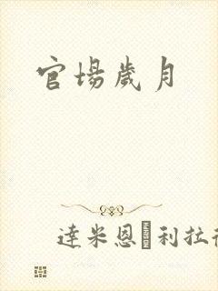 官场岁月