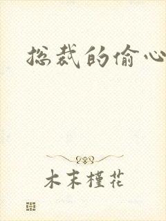 总裁的偷心娇妻