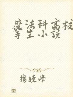 魔法科高校的劣等生小说