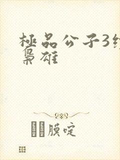 极品公子3续世枭雄