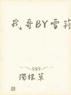 我哥BY雪莉