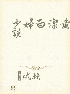 少妇白洁黄色小说