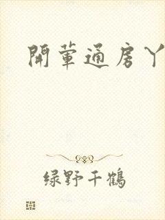 开荤通房丫头h封面