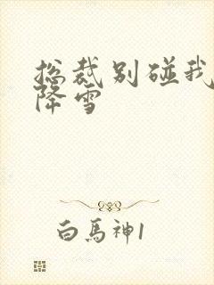 总裁别碰我 韩降雪封面