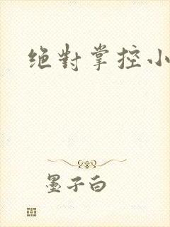 绝对掌控小说