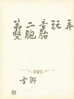 第二章玩弄少妇双胞胎封面