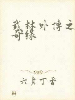 武林外传之同福奇缘