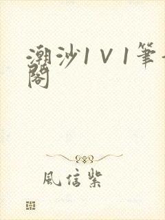 潮沙1∨1笔趣阁