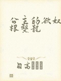 公主的欲奴h四根双龙