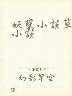 妖孽小说草莓酱小说