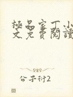 极品家丁小说全文免费阅读