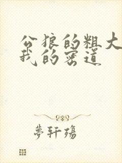 公狼的粗大挺进我的密道