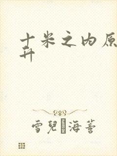 十米之内原地飞升封面