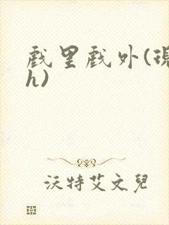 戏里戏外(现场h)