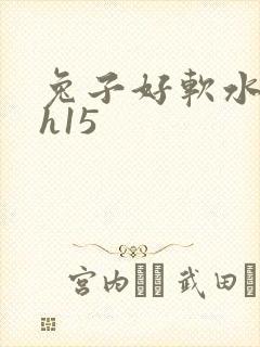 兔子好软水好多h15