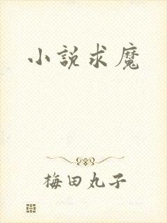 小说求魔封面