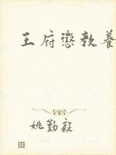 王府惩教养日常