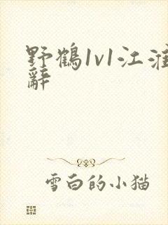 野鹤1v1江淮辞