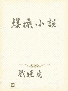 爆操小说