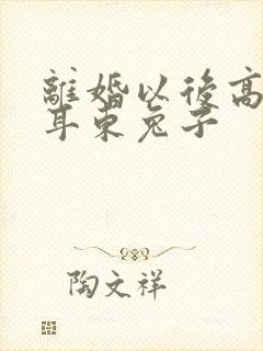 离婚以后高干 耳东兔子封面